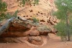 PICTURES/Burr Trail/t_Slot Canyon Holy Rocks1.JPG